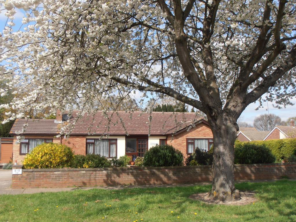 The Hideaway Suite Holiday Home Colchester Exterior photo
